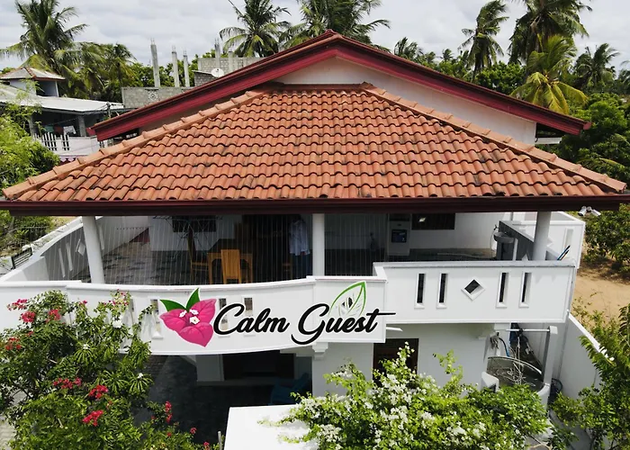 Calm Guest