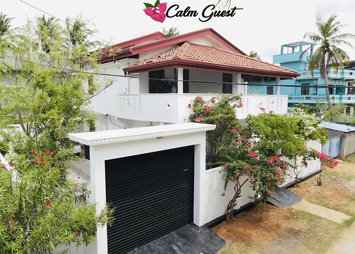 Calm Guest