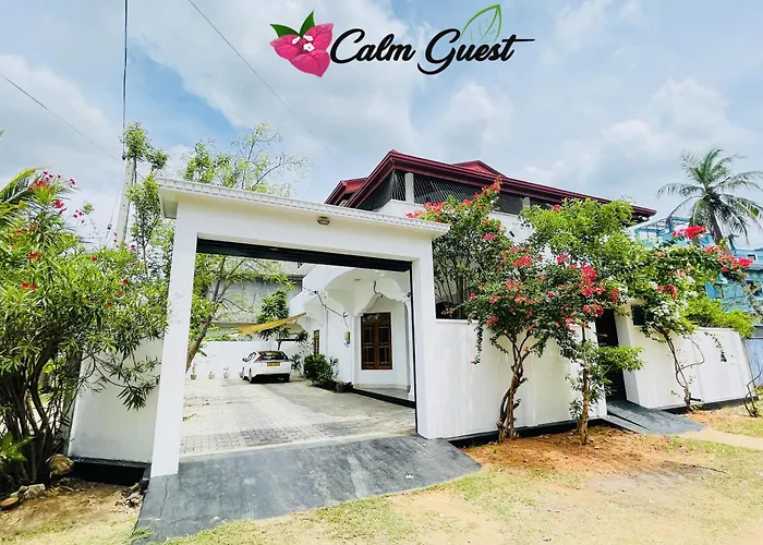 Calm Guest